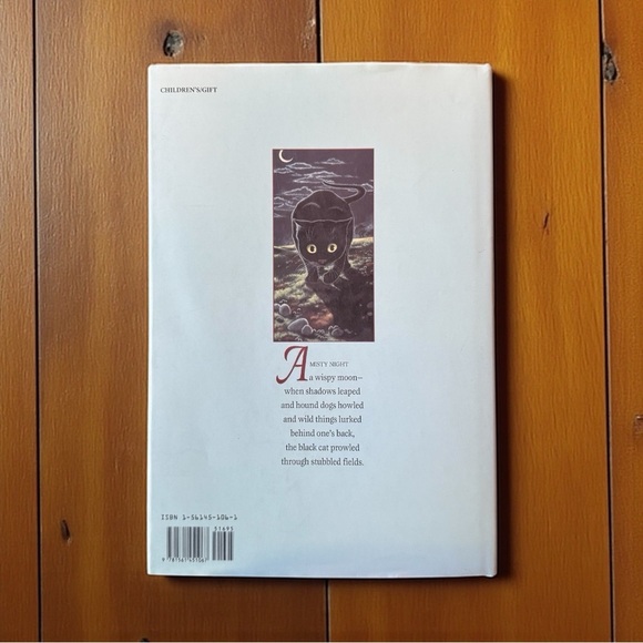 Cats Vanish Slowly by Ruth Tiller & Laura Seeley - 1995 Hardcover w/ Dust Jacket - Picture 2 of 12